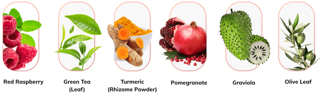 Balmorex Pro Ingredients